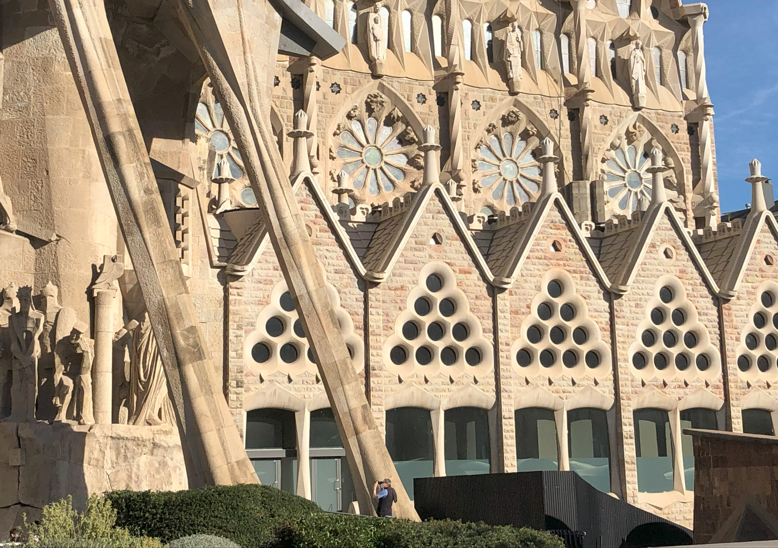 Sagrada